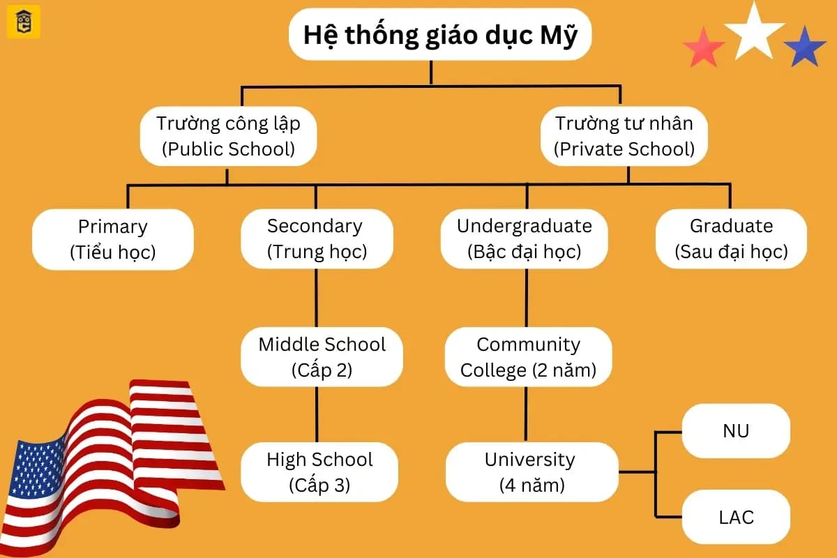 ✅
